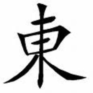 ereqtretq - semne-simboluri chinezesti