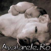 www_avatarele_ro__1225787969_421586
