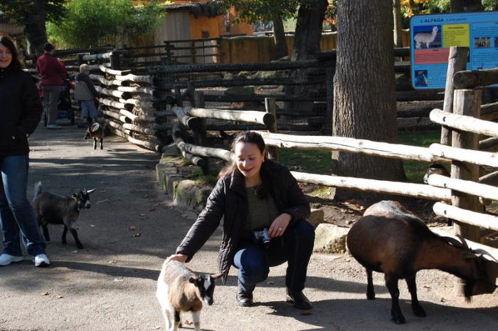 DSC_0095 - zoo amneville