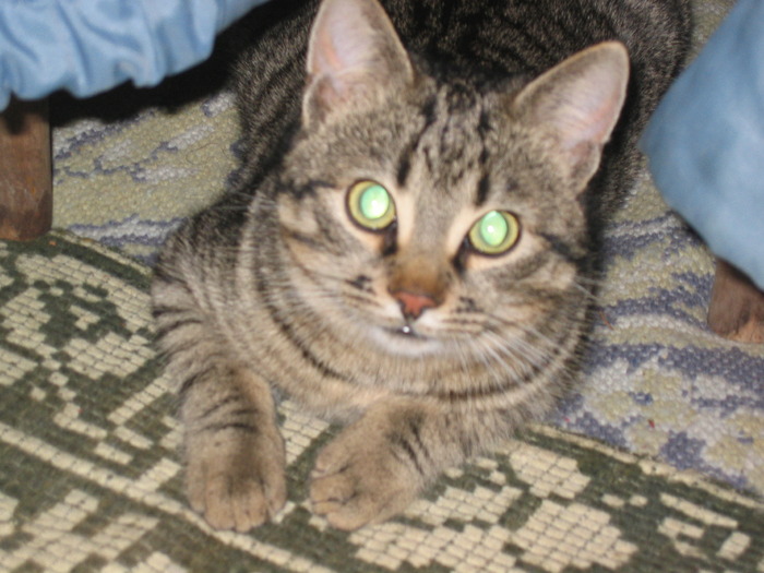 23 dec 2007 008