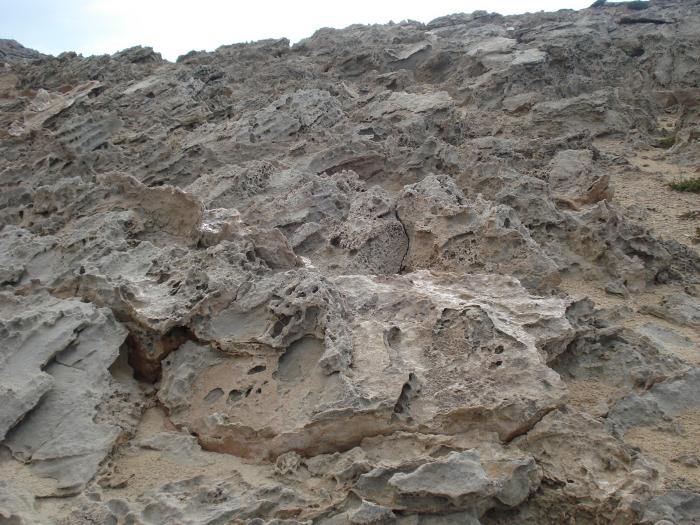 Picture 531; Cape Greco
