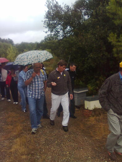 dupa comandant - ApiMondia