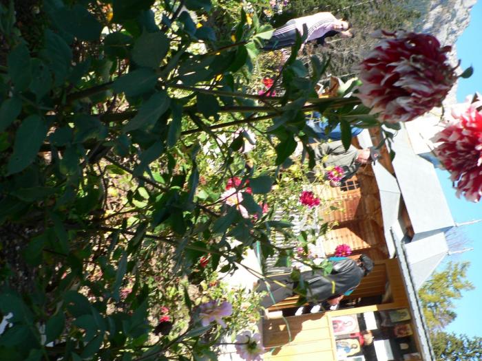 P1030639 - 2008 19 08 Manastirea Caraiman