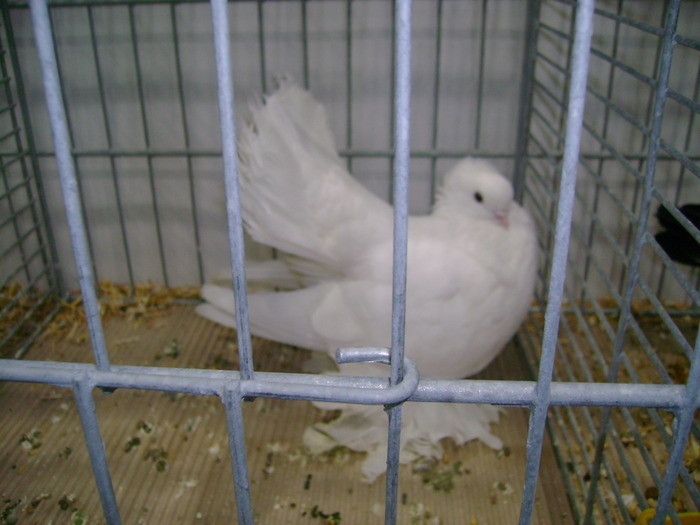 leipzig dec 2009 050