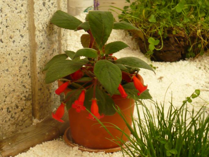 P1010447