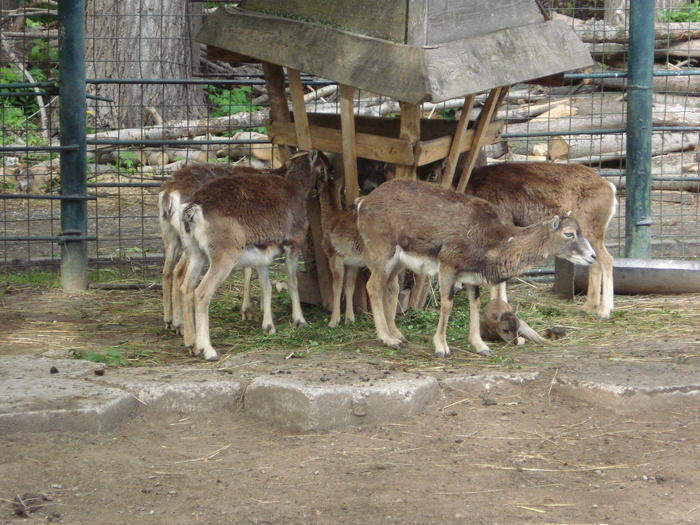 Picture 094