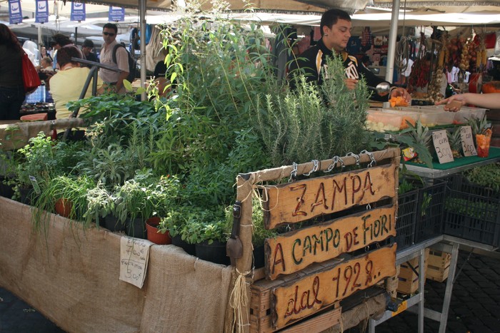 roma 221 - Campo de Fiori