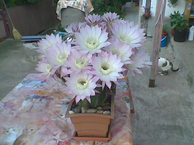 Imag045