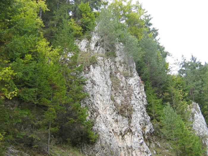 V.cheii sept. 2008 014 - Valea Cheii-Podul Dambovicioarei-Piatra Craiului