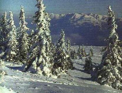 Fagarasii vazuti de pe Prejba(1)