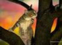 avatar pisicute 31823