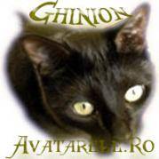 AVATARE (28)