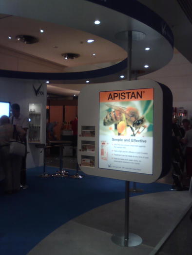 Imagine1071 - ApiMondia