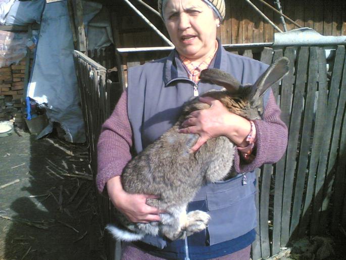 Copy of 24022008(009)