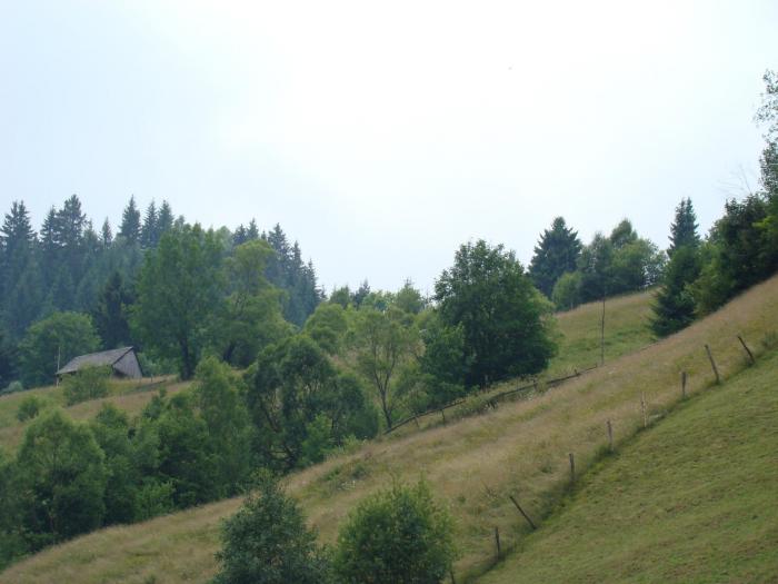 DSC02085 - Concediu 2008