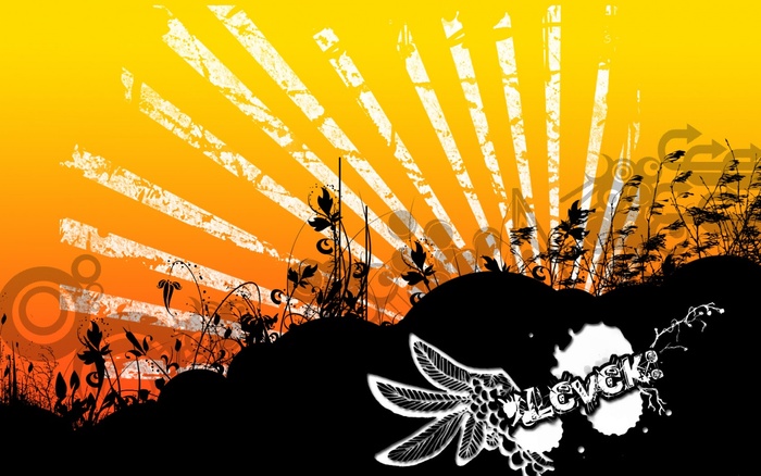 ws_Orange_Style_1440x900