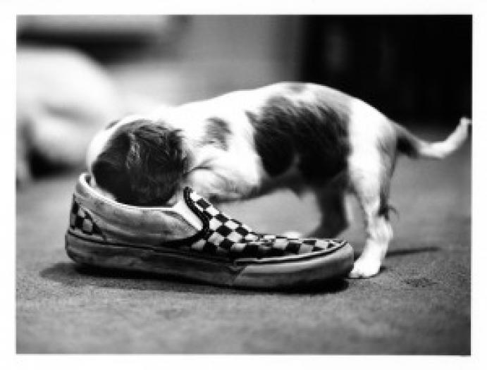curious_by_matteaton-300x228