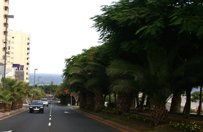  - 2009 - Tenerife