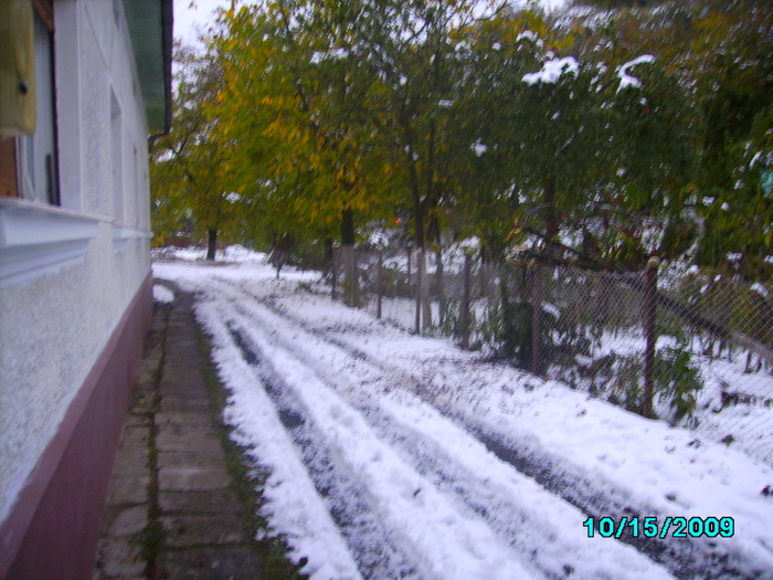 IMG_8957 - 2009 iarna timpurie