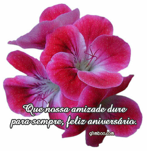 0105 - POZE