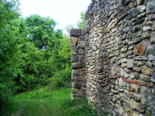 DSCF0591