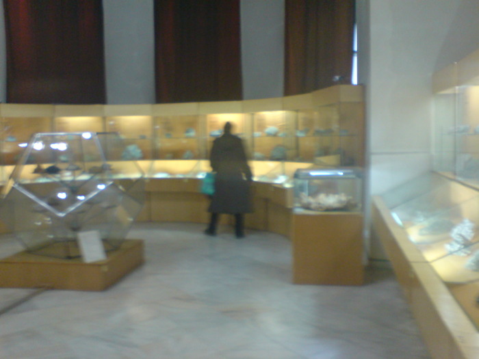DSC00489 - STEFY BUCURESTI - MUZEUL DE GEOLOGIE