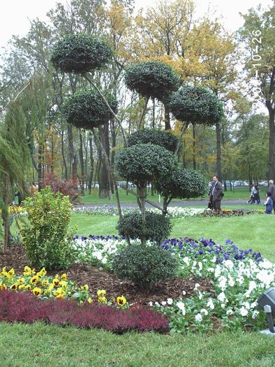  - Parcul Tineretului Craiova