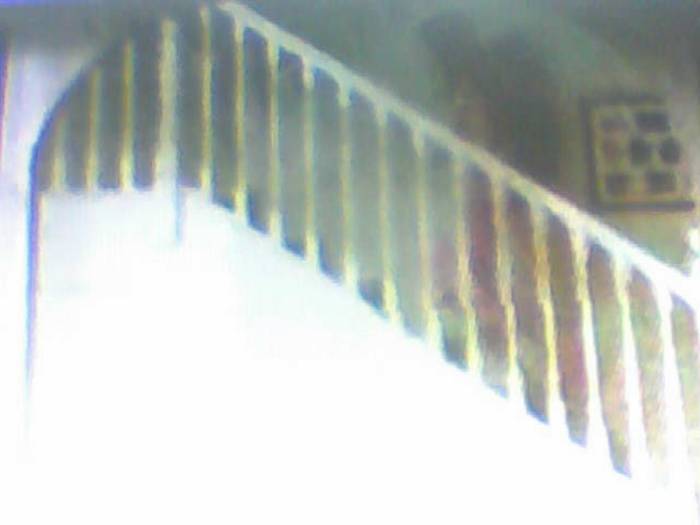 snapshot-387 - Sora lui Cleo Kim