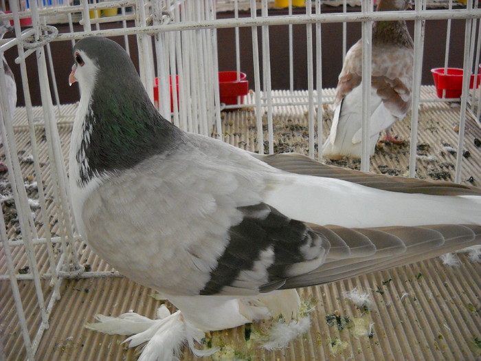 DSCN0183
