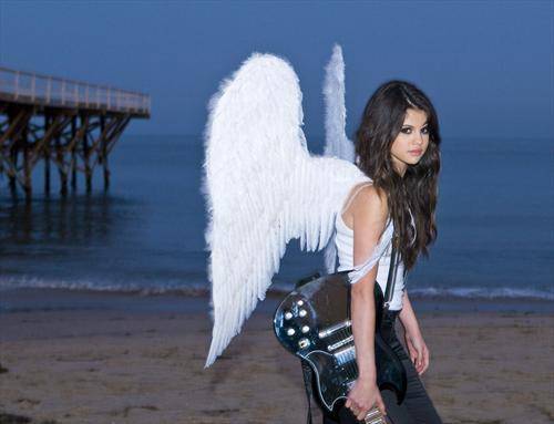selenafan024