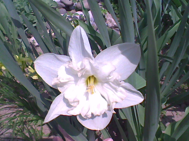 Imag044