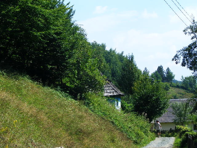 DSCF4917 - Firiza_Maramures