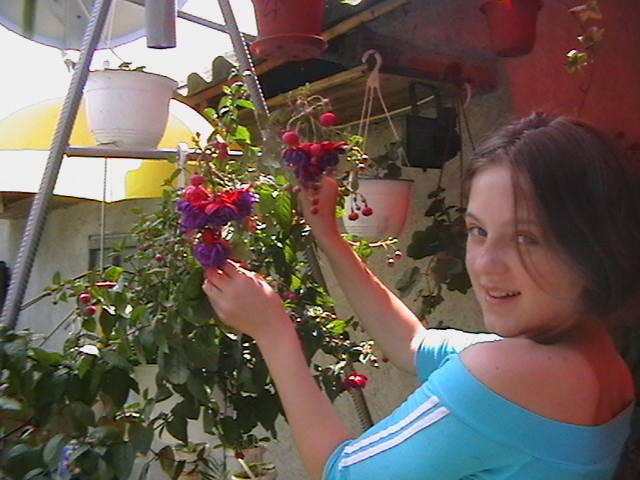 Picture 012