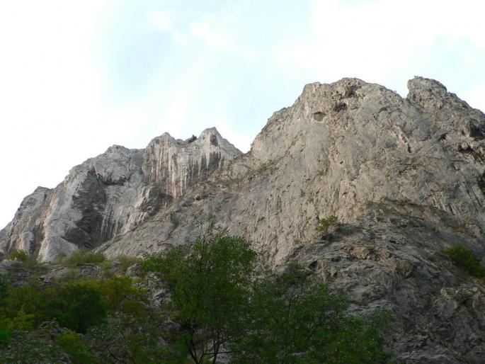 P100084