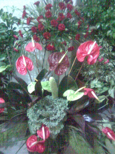 Imag028