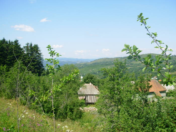 DSCN3294 - Rosia Montana