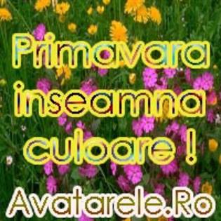 43 - avatare