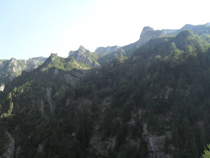 SDC10112 - Valea Caraiman-Bucegi