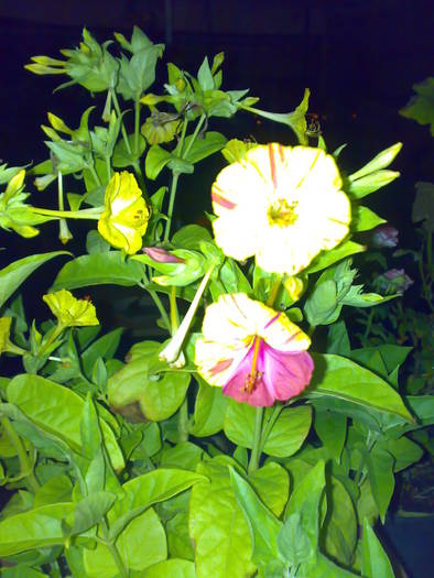 09082009634