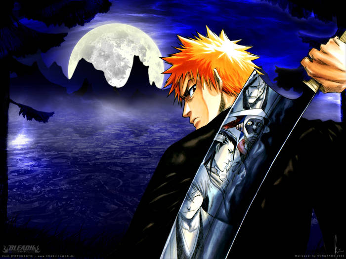 bleach-myIchigo1600 - Bleach