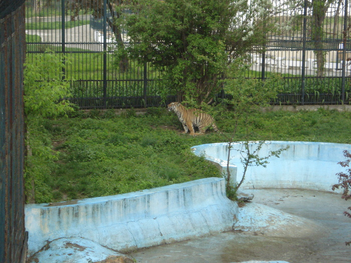 Picture 041 - zoo targoviste