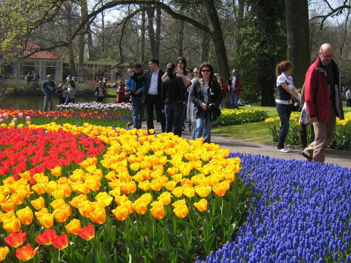 IMG_3445 - KEUKENHOF-OLANDA