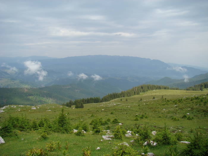 DSC03936 - Concediu 2009