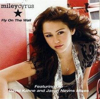 Fly_On_The_Wall_The_Remixes_-_Cover[1] - album pt denisamiley