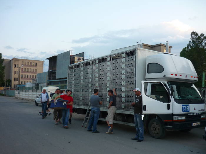 61 - Imbarcare Braila Vadul Siret 330Km 2009