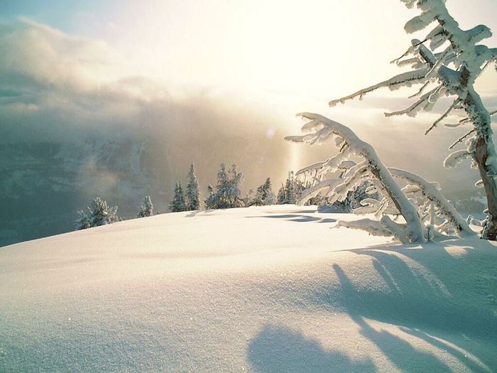 Christmas Wallpapers (564)