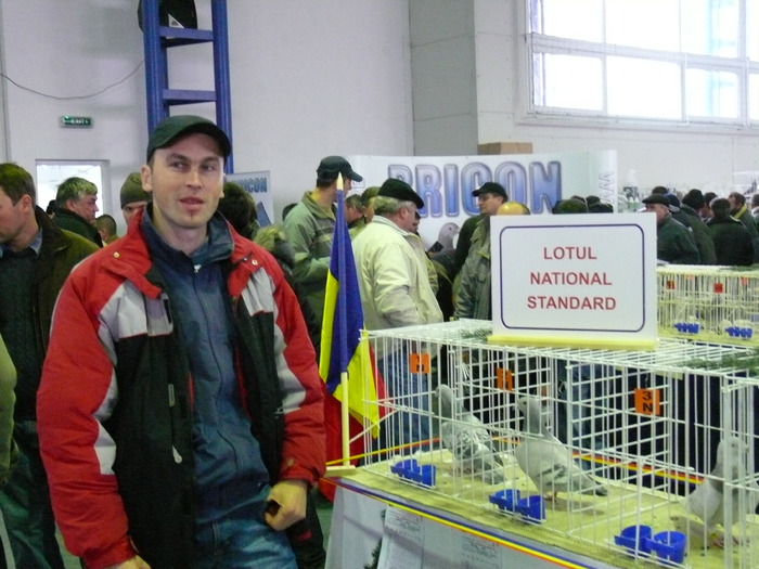 Columbofil - Expo Nationala Brasov 2009