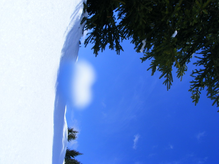 DSCF6937