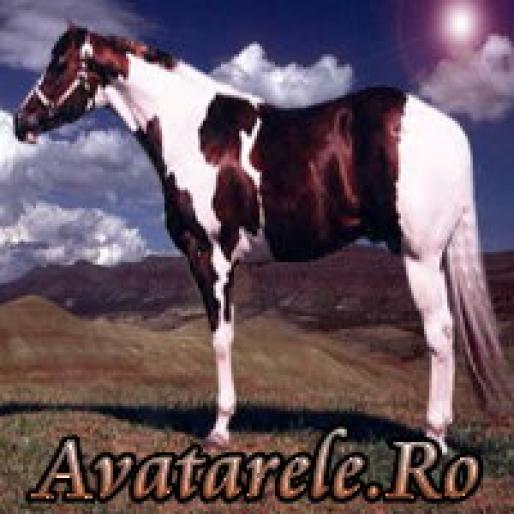 77 - avatare animale