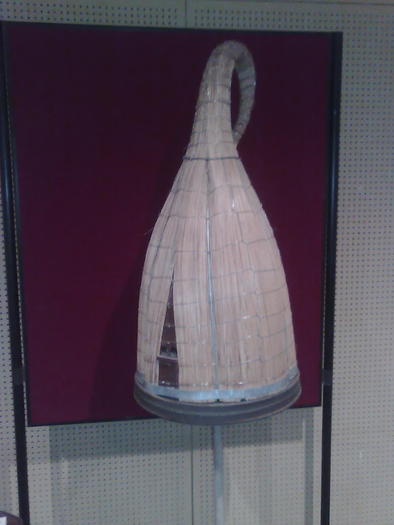 Imagine1083 - ApiMondia